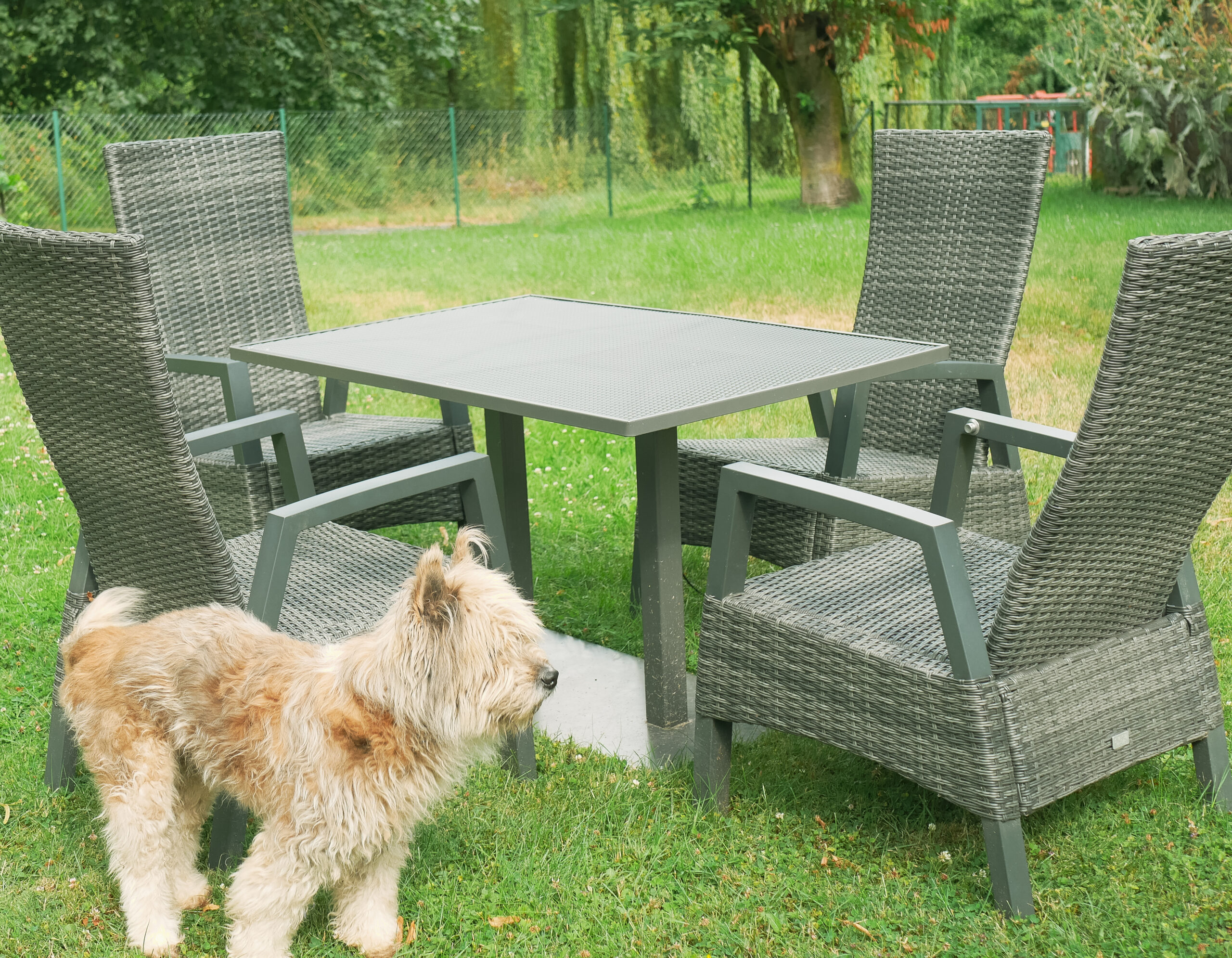 Outdoor 365 Esstisch 120x80 – Bild 2